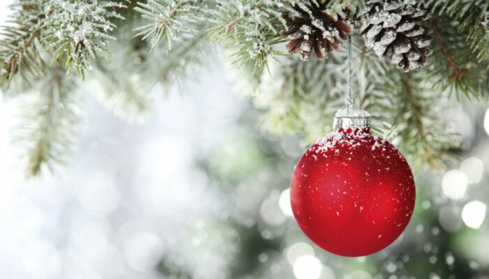  Contes pour attendre Noël au pied du Sapin