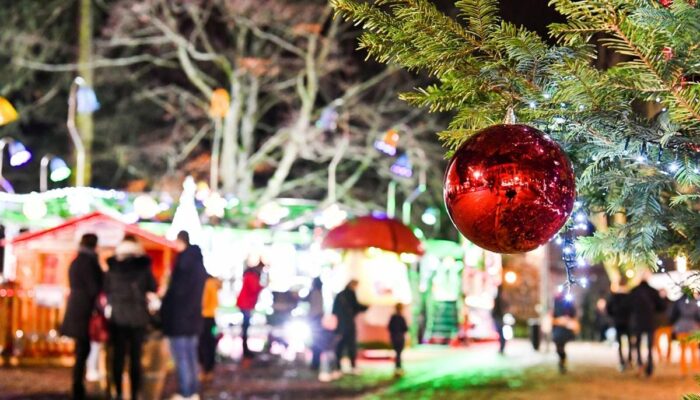 Marché de Noël des AEP