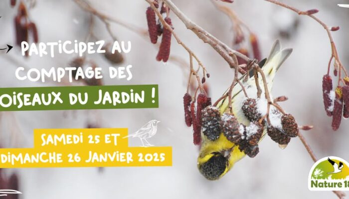 Comptage National des Oiseaux des Jardins